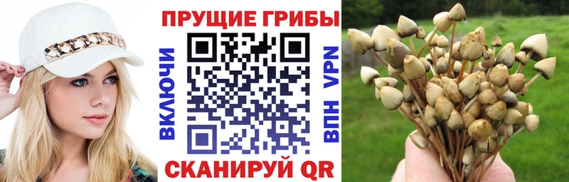 купить наркотики цена  дарк нет наркотические препараты  Галлюциногенные грибы мухоморы  Нижний Тагил 
