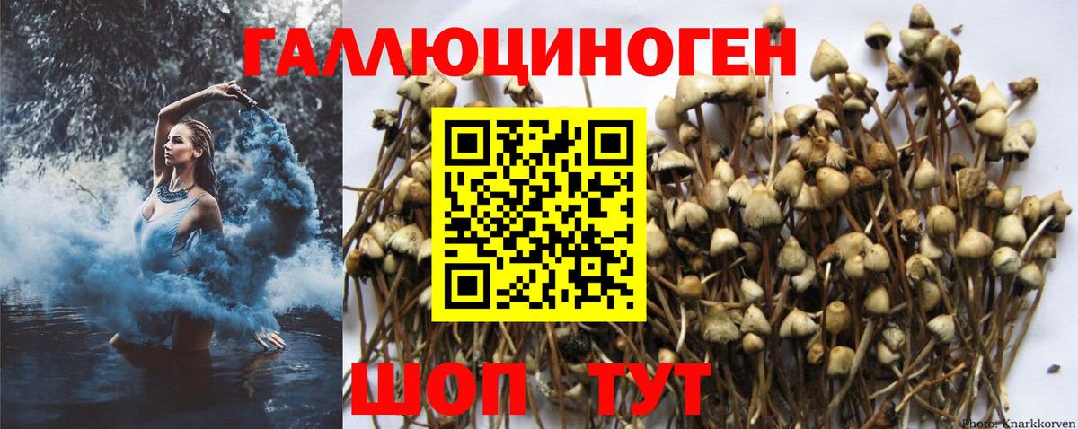 Псилоцибиновые грибы мухоморы  Вход с VPN  Нижний Тагил 